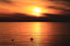 Természet festménye