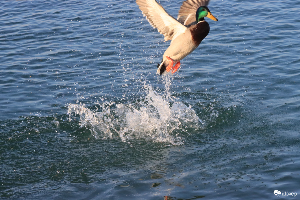 EGY PILLANAT ITT MARADT