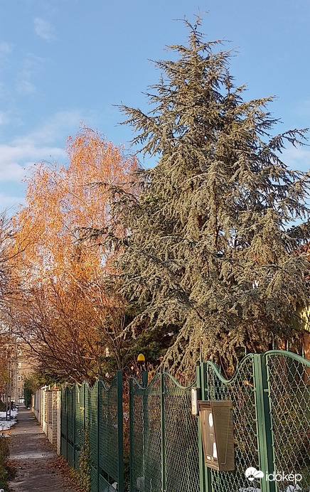 Budapest XIV. ker
