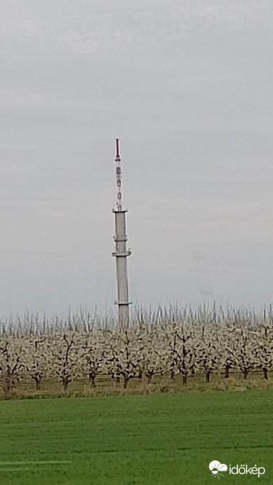 Kiskőrös