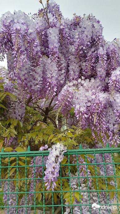 Budapest XIV. ker