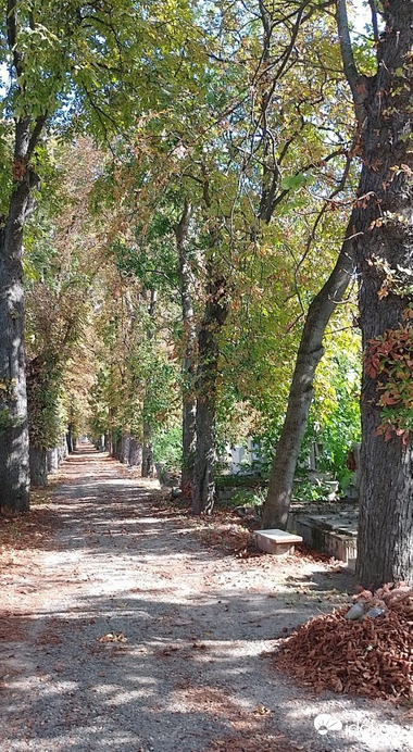 Budapest X.ker - Téglagyárdűlő