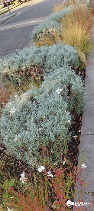 Budapest VII.ker - Erzsébetváros