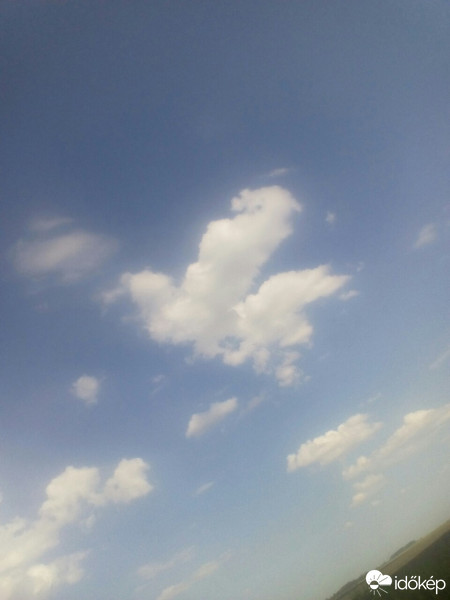 Észlelési fényképek