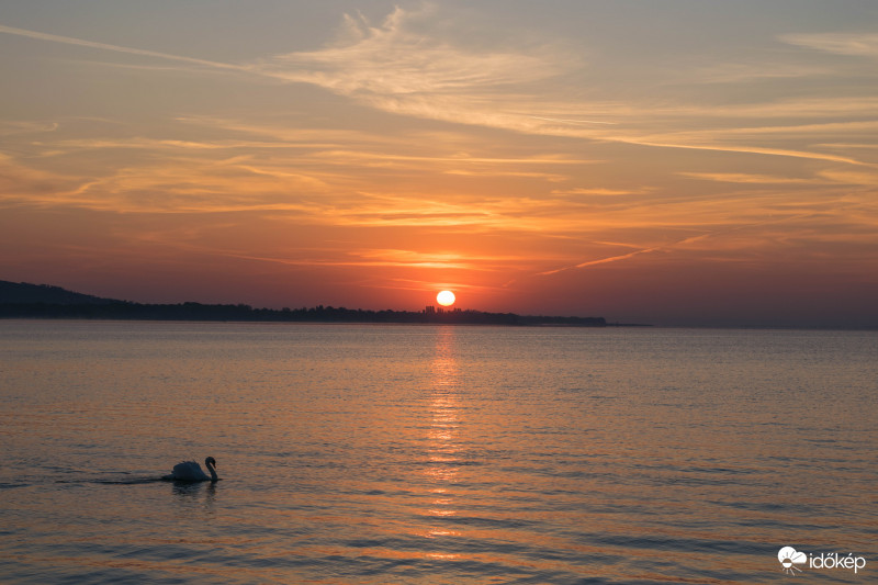 Hattyú a Napkeltében