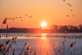 Napkelte a Kis-Balatonon