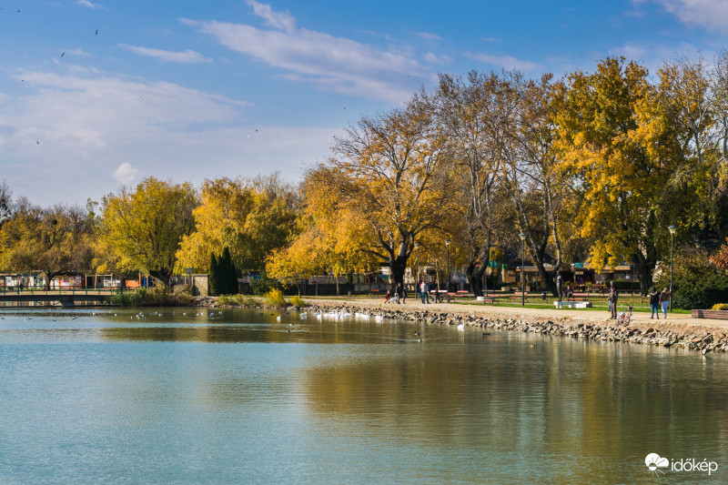 Nyugis péntek délután