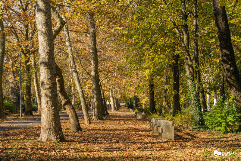 Napos november délután