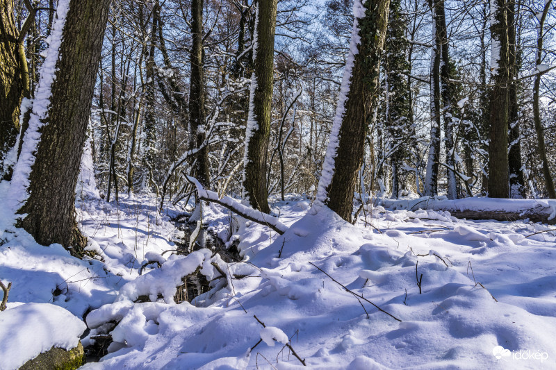 Nincs is szebb a napos, havas erdőnél :)