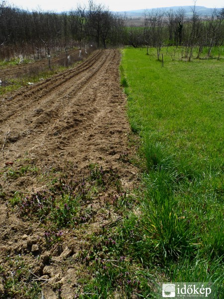 Kezdődhetnek a tavaszi munkák