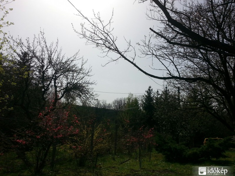 Észlelési fényképek