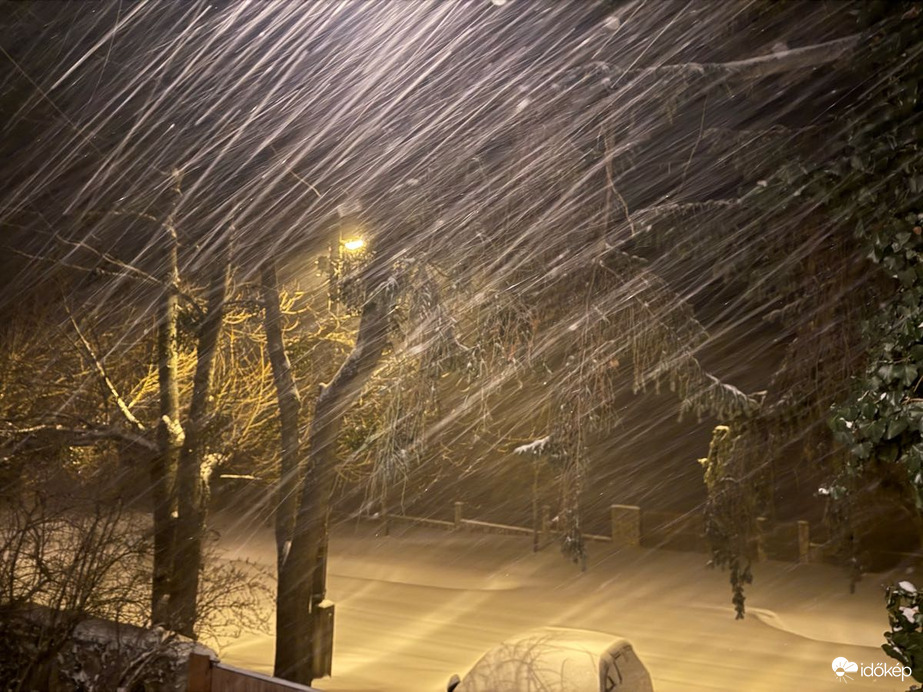 Észlelési fényképek