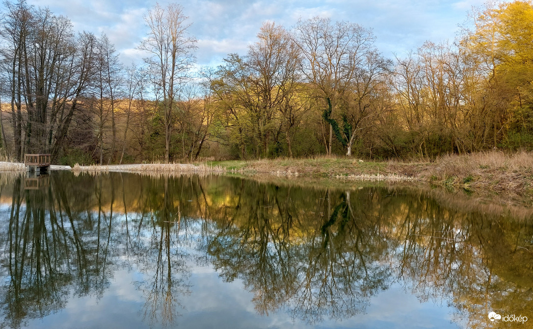 Váralja parkerdő