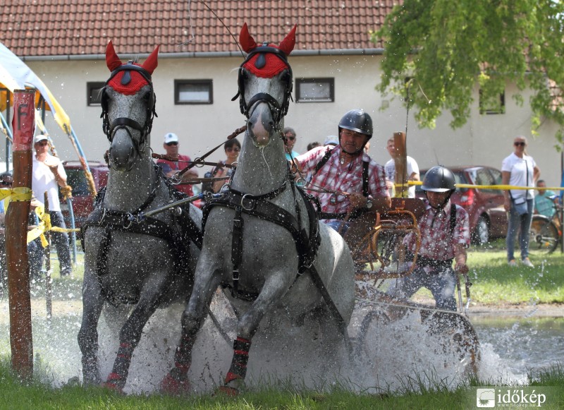 Vizilovak