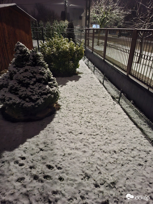 Észlelési fényképek