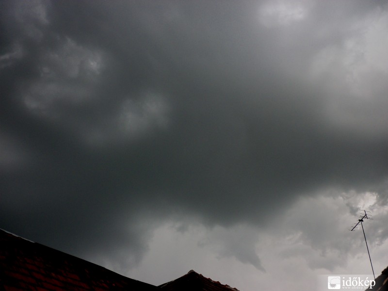 Tuba Füzesabonynál