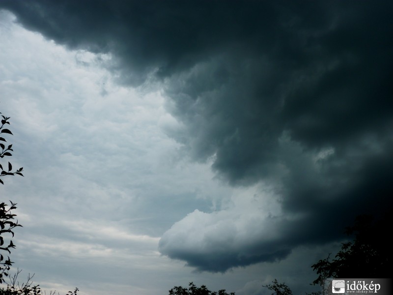 Egy kép a sok közül