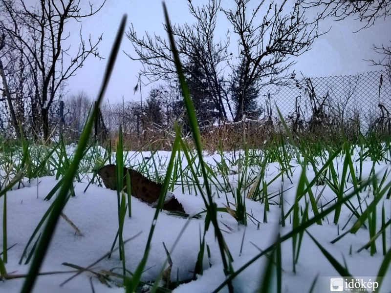 Tél vs tavasz...egyelőre tél :)