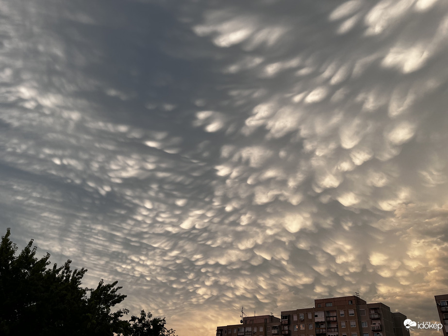 Elképesztő mammák a zivatarozás után