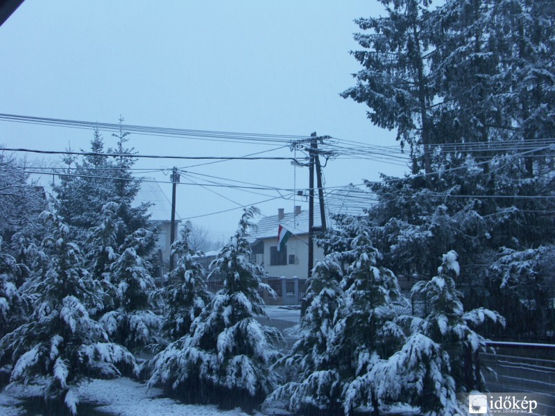 Észlelési fényképek