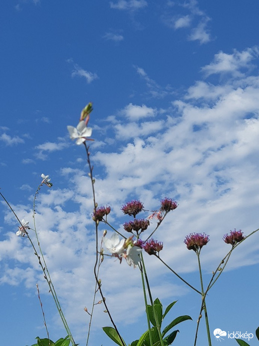 Budapest XIV.ker - Zugló