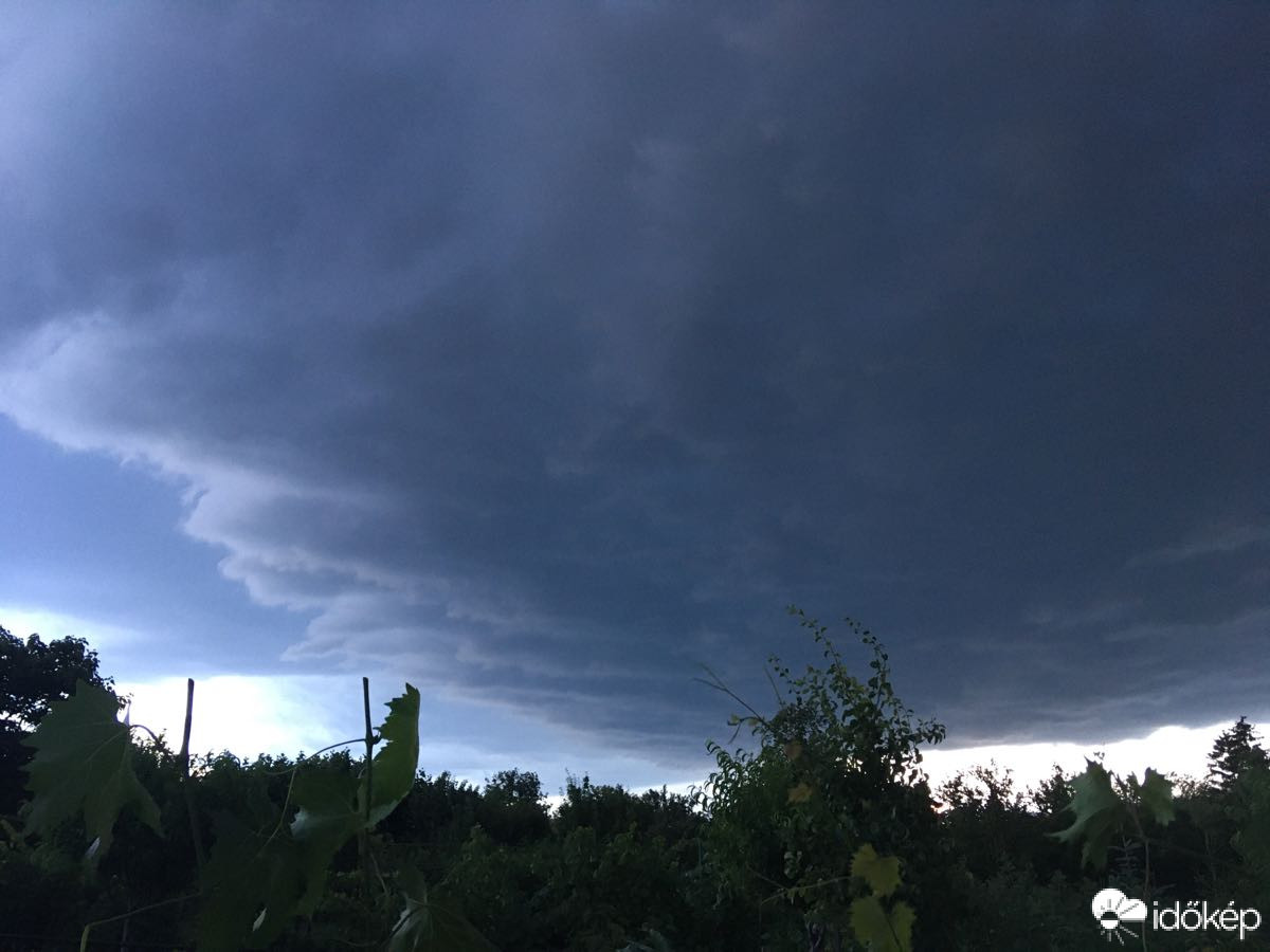 Észlelési fényképek