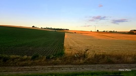 éles váltás