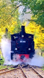 Morgó Királyréten