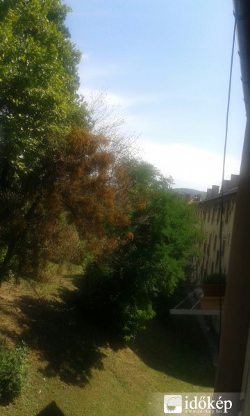 Komló