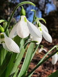 Végre napsütésben