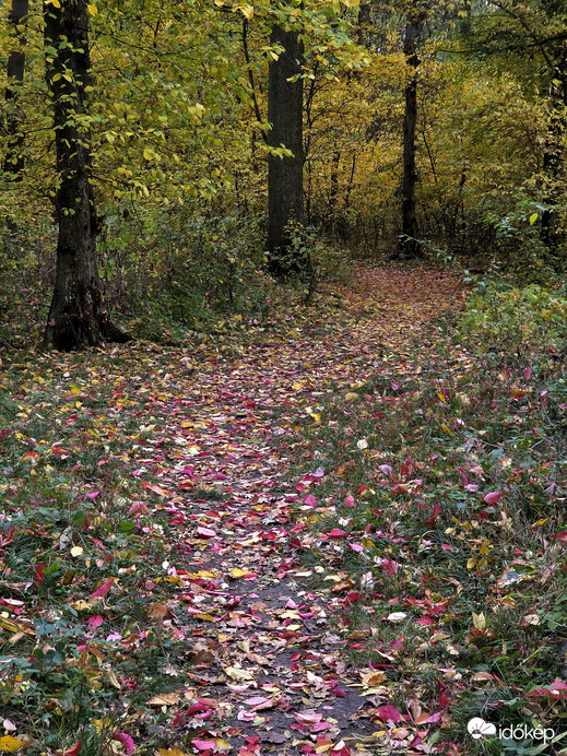 Út az őszbe