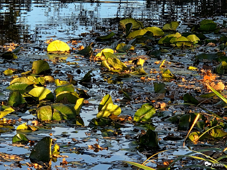 Őszi fények a tó felszínén