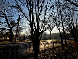 Bronzosan ragyogó fények a napsütésben