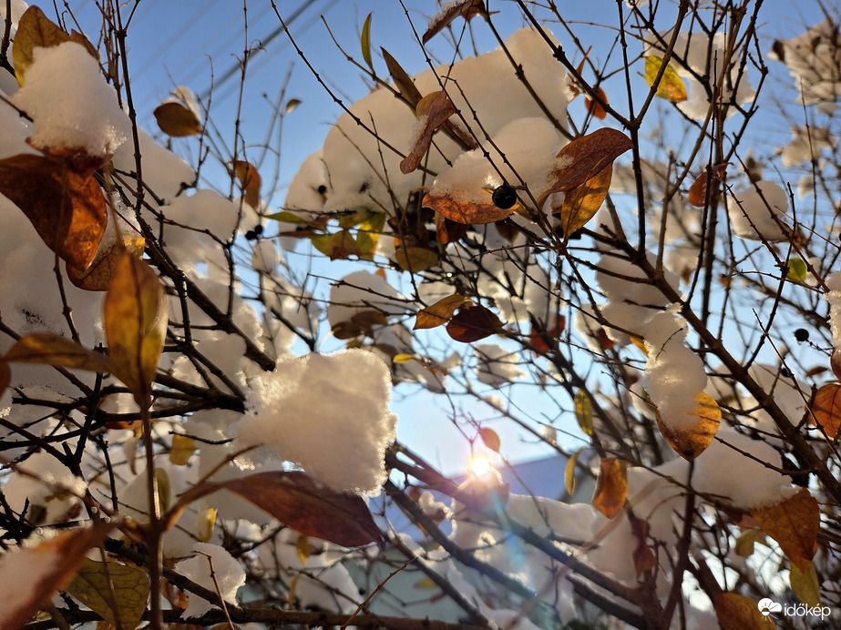 Délelőtti napsütésben