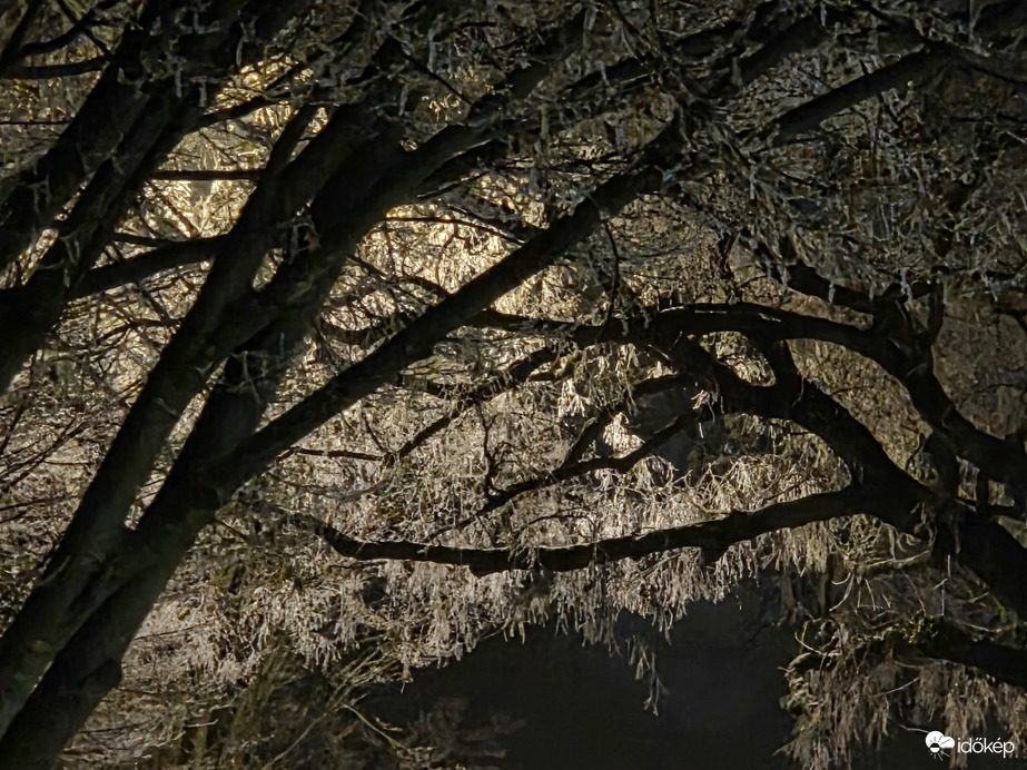 Zúzmarásan megvilágítva