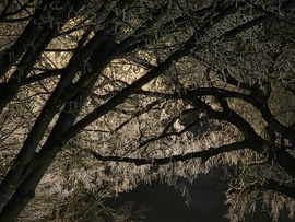 Zúzmarásan megvilágítva