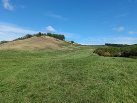 Bükkszenterzsébeten egy őszi domb