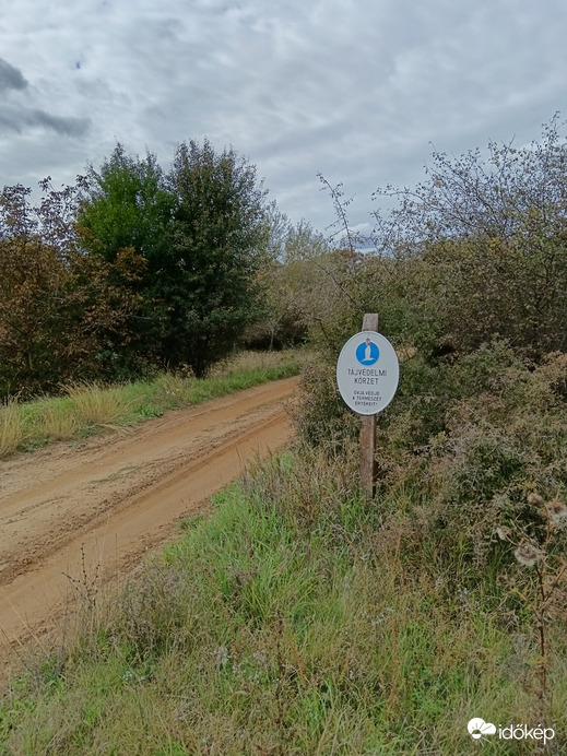 Tarnavidéki Tájvédelmi Körzet