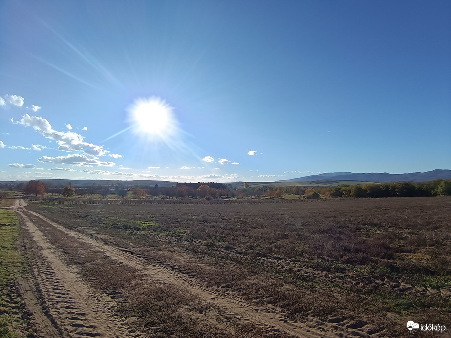 Napsütés a szőlők felett