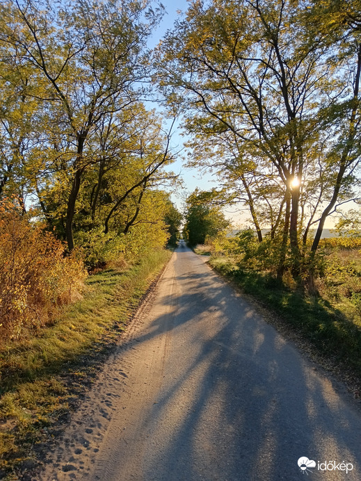 Sárguló lombok Feldebrő felé