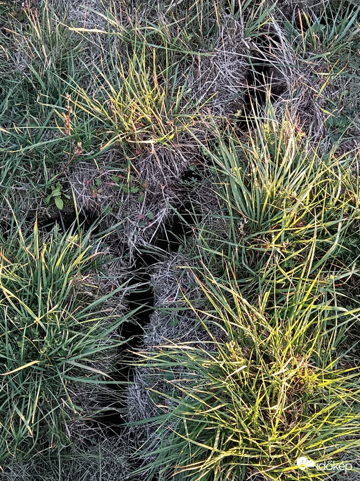 Felrepedt a föld a aszálytól