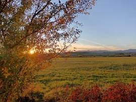Naplemente a őszi lomb ölelésében