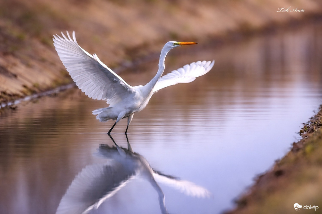 Hódmezővásárhely