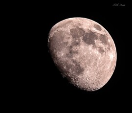 Hódmezővásárhely