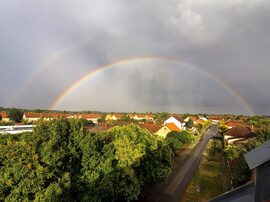SZFF