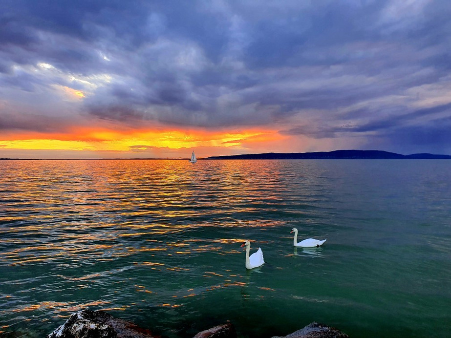 Balatonfenyves