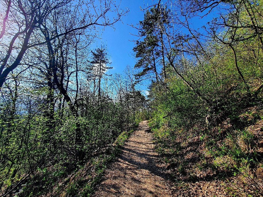 Budapest XII.ker - Normafa