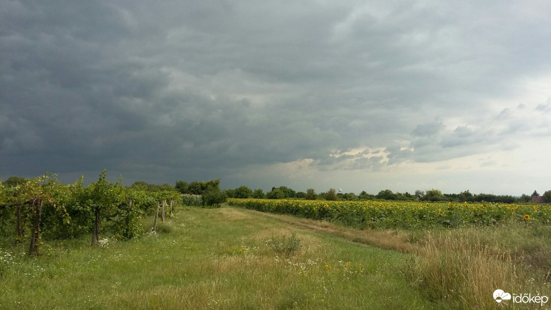 Észlelési fényképek