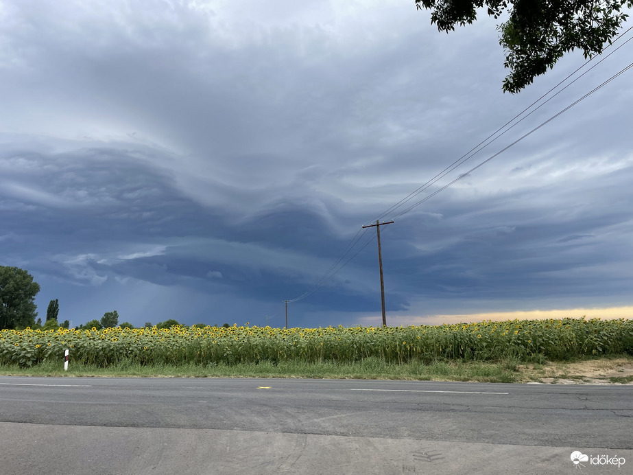 Észlelési fényképek