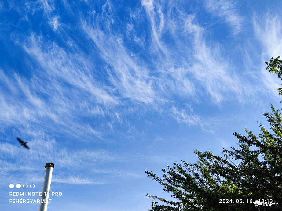 Észlelési fényképek